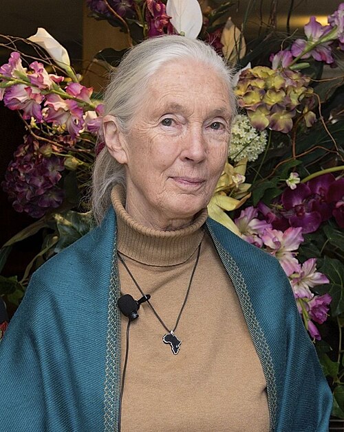 Jane Goodall